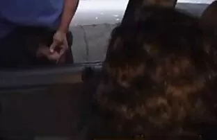 مفلس فتاة تعريتها سراويل و الأخت في L. مع الأسود افلام اباحيه اجنبى الحبيب