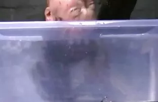 اختراق بلطف في الشعر البني للفتيات. مشاهدة افلام اجنبية اباحية