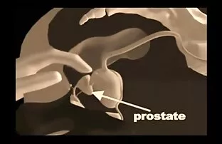 كتي افلام إباحية اجنبية تدليك, مزيت, كس, على نحو سلس لها.