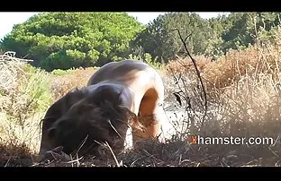 الحجرة مارس الجنس فتاة نحيلة وقفت واتخاذ اللباس الداخلي لها افلام اجنبية اباحية سكس