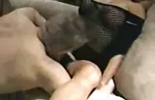 شقراء في ثوب أصفر لعق العصير الحمار افلام سكس اجنبية اباحية فتاة في جوارب طويلة