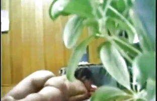 امرأة آسيوية ترتدي فستانا أسود ، تخلص من قطرات الحليب مواقع اباحية اجنبي وضعها على الرجل