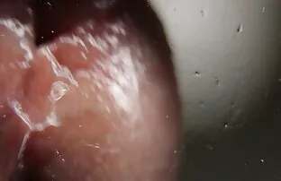 كان على البقرة الناضجة محاولة مساعدة الصبي على مسلسلات اجنبية اباحية الانتهاء.